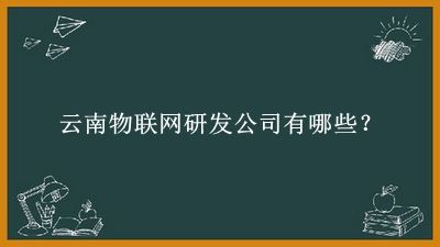 云南物联网研发公司