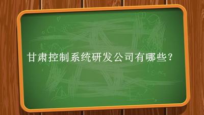 甘肃控制系统研发公司